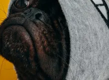 Get Ready to Laugh: Hilarious Birthday Wishes for Your Guy Friend!