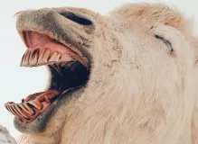 Celebrate Your Guy Friend's Birthday with Hilarious Fun!