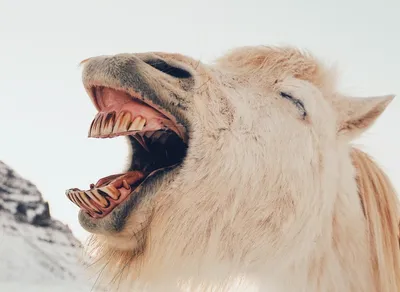 Celebrate Your Guy Friend's Birthday with Hilarious Fun!