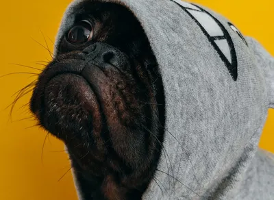 Get Ready to Laugh: Hilarious Birthday Wishes for Your Guy Friend!